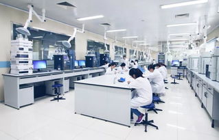 跨界引領 齊魯制藥李燕當選中國醫藥企業管理協會輪值會長，彰顯行業管理智慧新融合